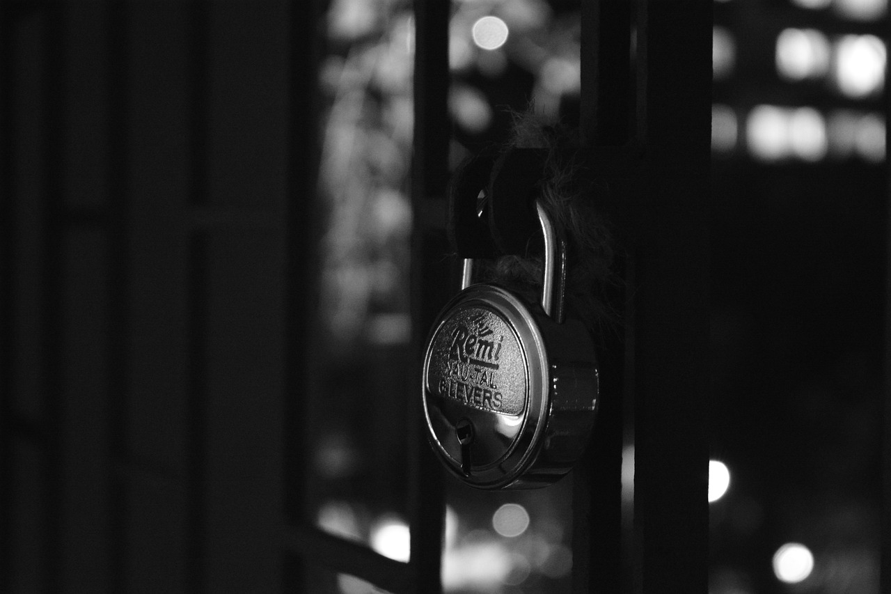 Neighborhood Safety: How to Keep Your Community Safe